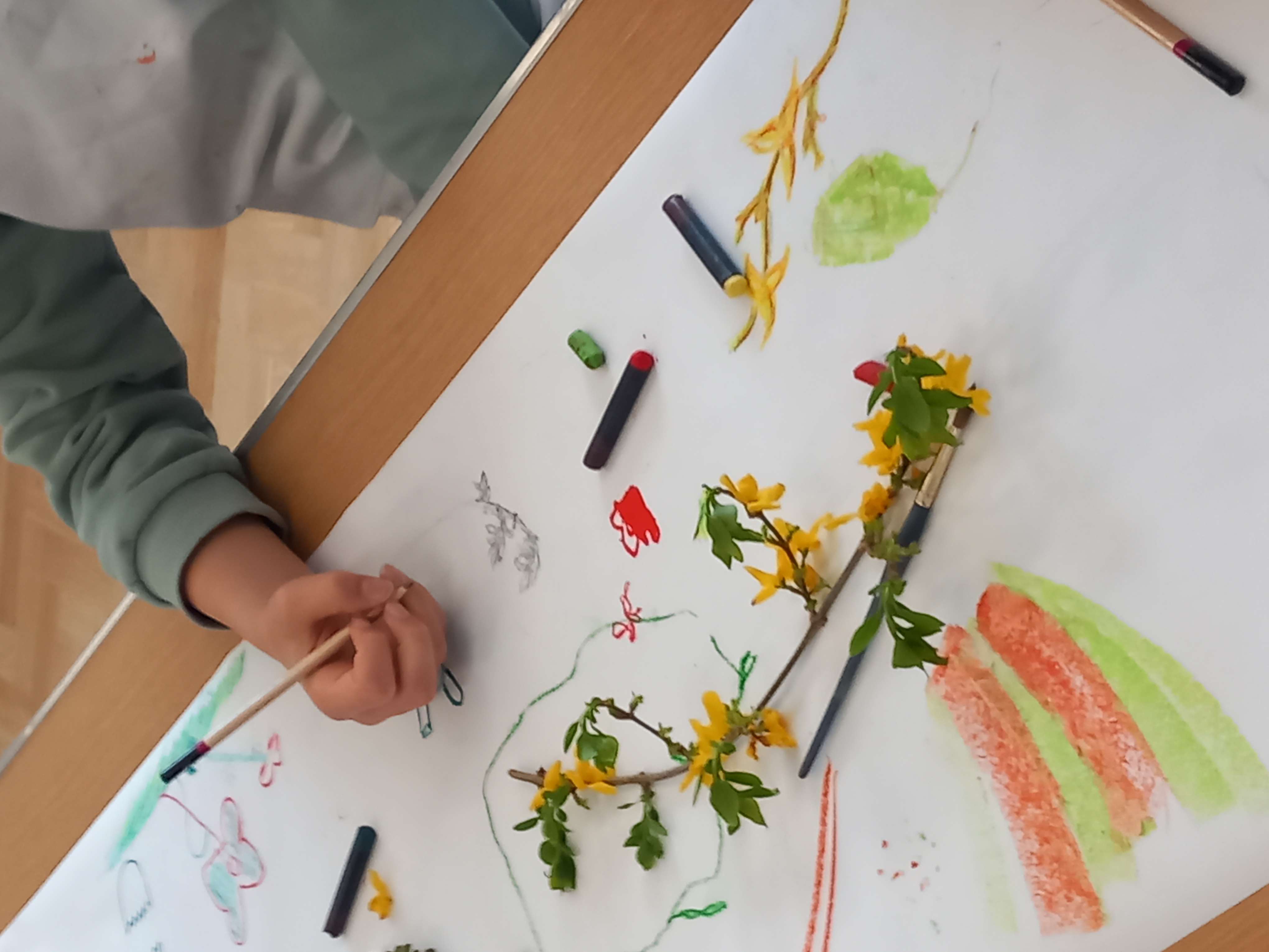 Dort Art Activity 2025