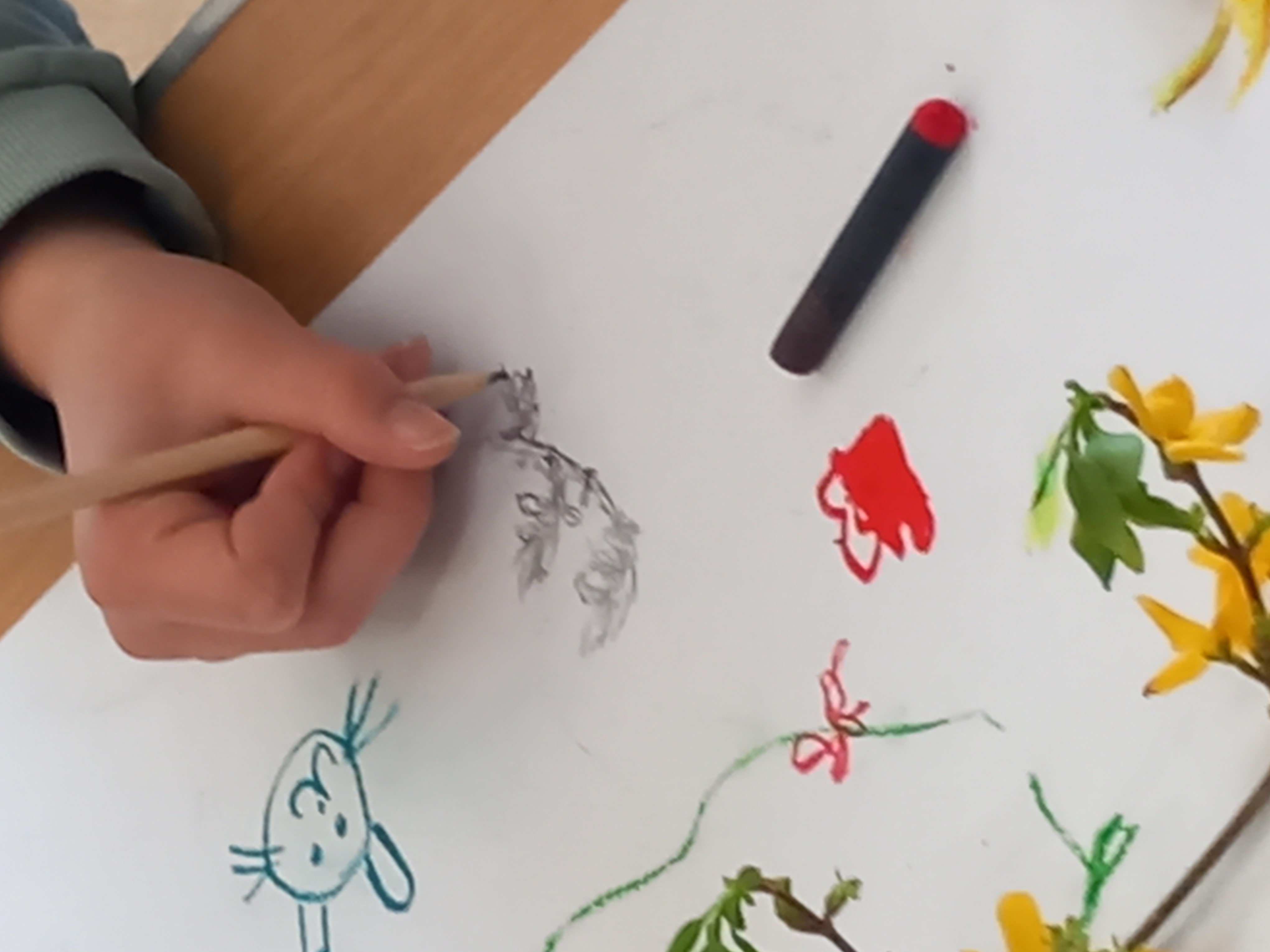 Dort Art Activity 2025