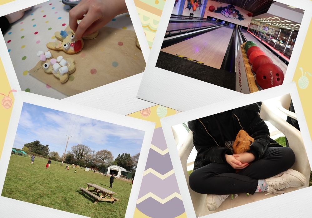 Polaroid pictures of children cooking, bowling, holding farm animals and a panoramic of a farm