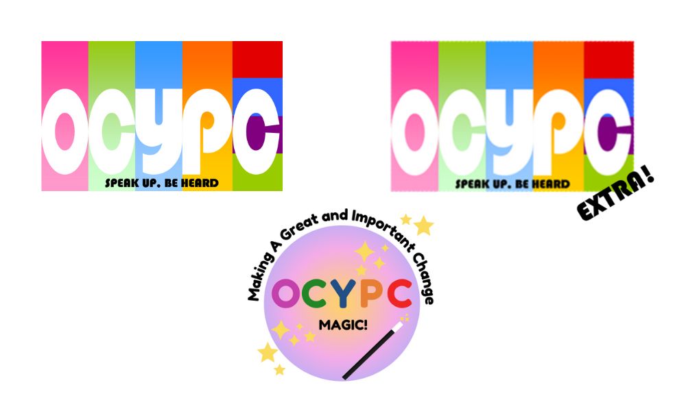 Our Children and Young People’s Council